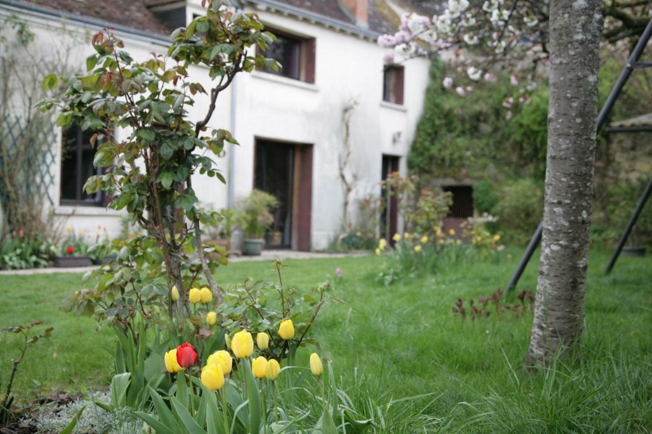 Villa La Croix Des Granges Montlouis-sur-Loire Esterno foto